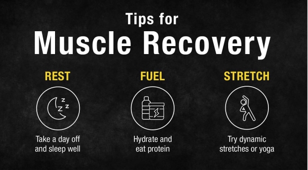 101 Workout Recovery How to Reduce  Muscle Pain and Get Back to Your Routine  Easily