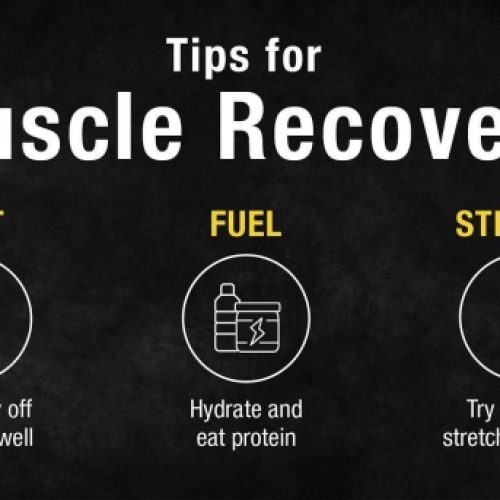 101 Workout Recovery How to Reduce  Muscle Pain and Get Back to Your Routine  Easily