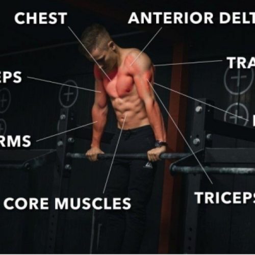 An Intermediate Workout Plan for Calisthenics