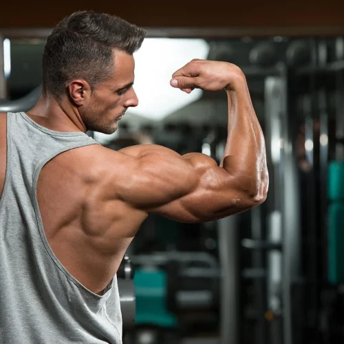 THE BEST GYM WORKOUT PLANFOR GROWING MUSCLE REDUCE FAT BY DOING IT
